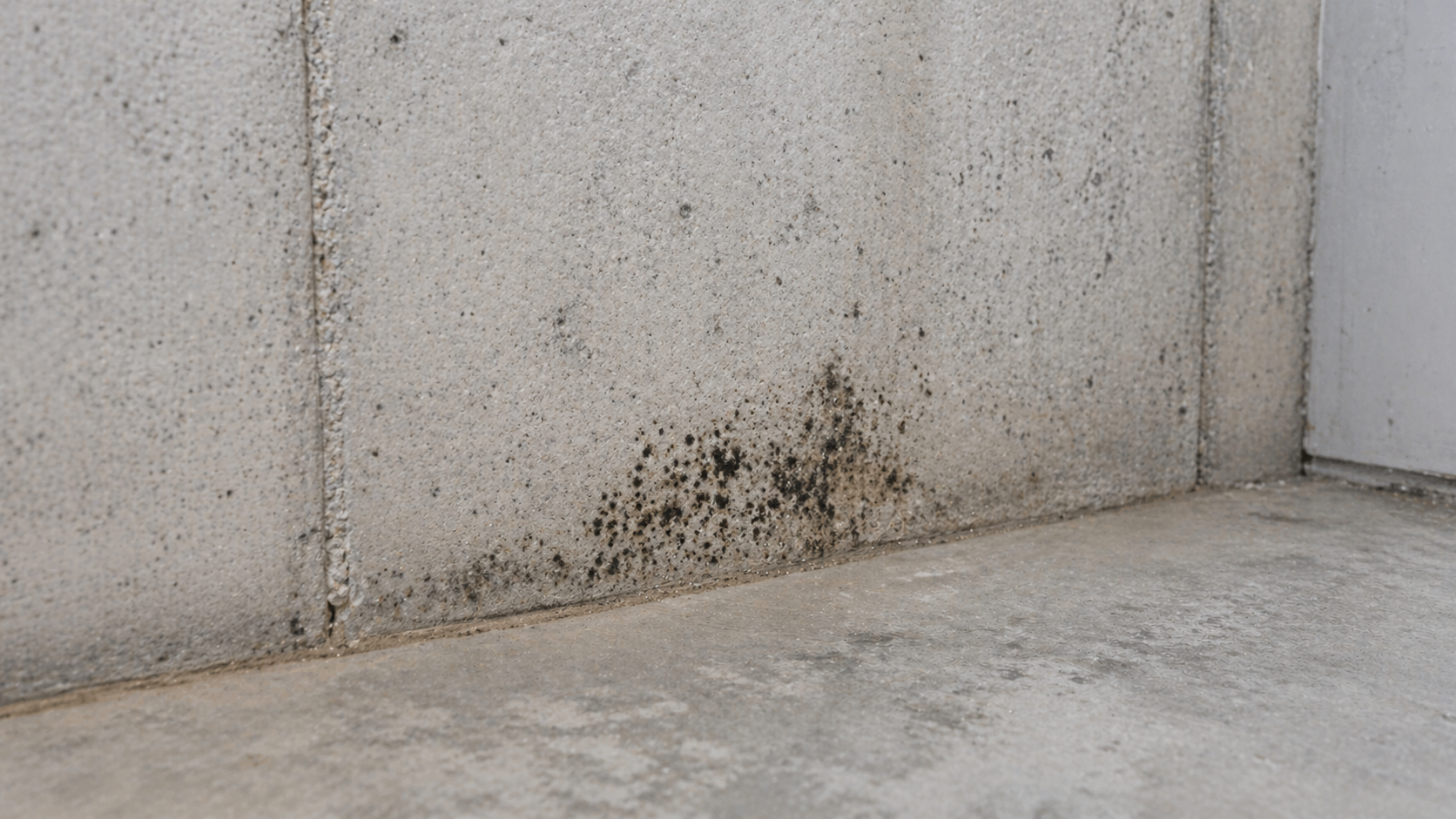 Mold Investigation for residential properties in southern Minnesota — Master Certified InterNACHI inspection by Home Inspection Fairmont MN